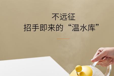 提壶记忆保温什么意思