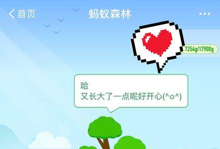 女生说种了一棵树什么意思