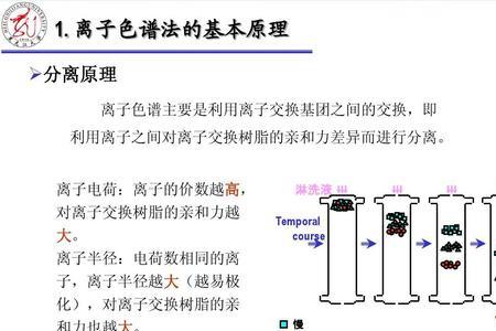 离子色谱基线什么意思