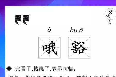 四川话里的巴大是什么意思