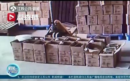 半成品的商品能否定为伪劣商品