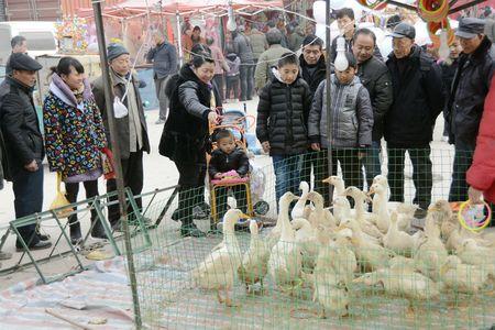 卖鸭子的叫什么