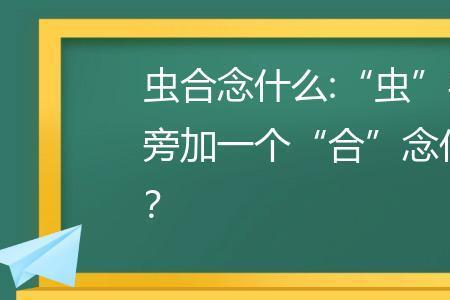 从和虫读音有什么区别