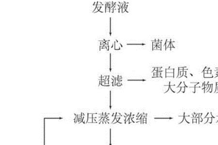 发酵方法有哪些