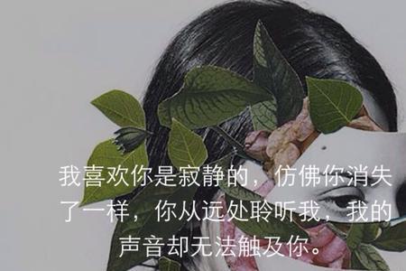 喜欢哪里都是你是什么意思