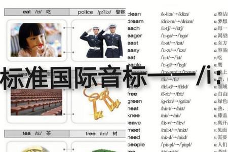 国际标准音音名