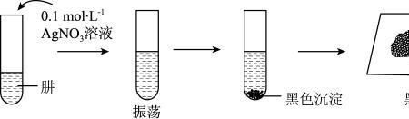 铁与氯气点燃现象