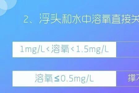 拉鱼的氧气压力调到多少合适