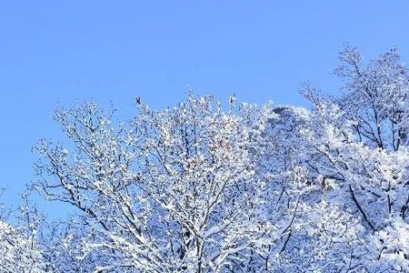 冬雪簌簌的意思