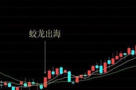 三爪蛟龙代表着什么寓意