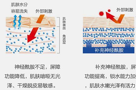 角质层水合功能什么意思