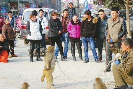 什么的耍猴人填形容词