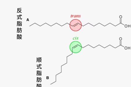 反式脂肪酸与普通脂肪酸的区别