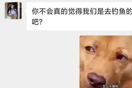 男人主动约女人钓鱼说明什么