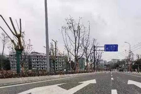 公共通道与路的区别