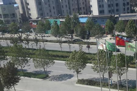 南阳仲景路以前叫什么路