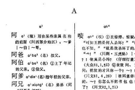 哈了嗦啥意思四川话