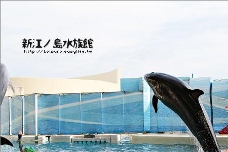 水族馆经营范围怎么写