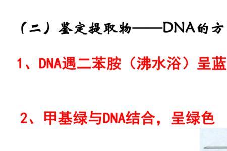 DNA在什么中形成沉淀