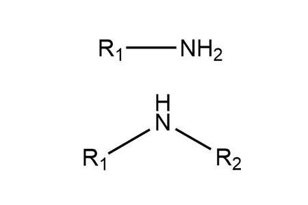 氨基和胺有什么区别