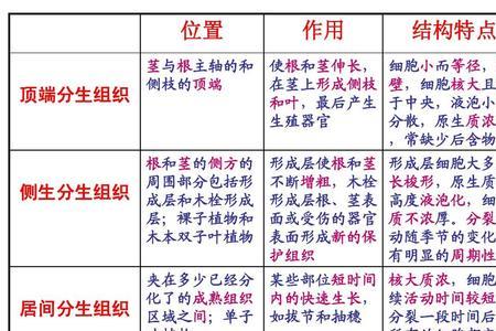 成熟和未成熟的植物细胞有哪些