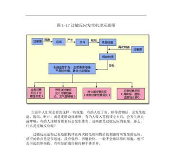 反应机制的基本内容