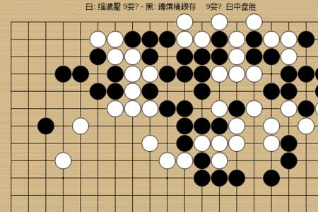 绝艺围棋单机版有电脑版吗