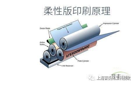 ta印和tuo印有什么区别