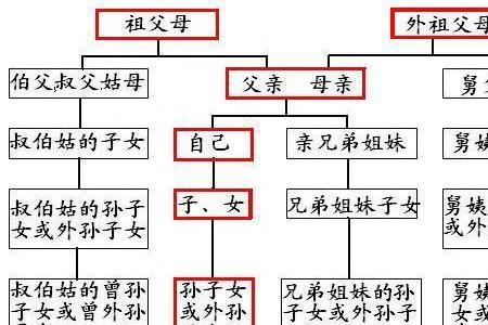 叔叔和侄女的血缘占比有多少