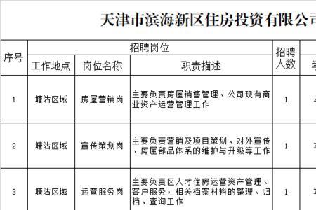 国企技术总监的职位叫什么