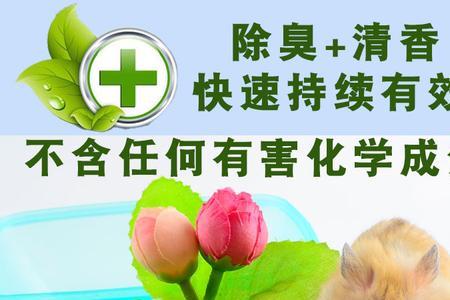 仓鼠尿沙可以放花盆里吗