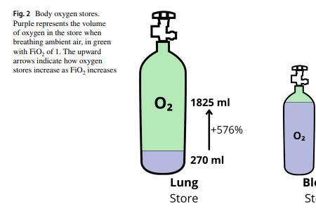 氧合指数和血氧饱和度一样吗