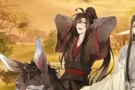 魔道祖师蓝忘机是男是女