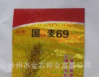 衡麦31号品种介绍