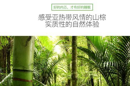 大自然棕榈垫6公分厚度可以吗