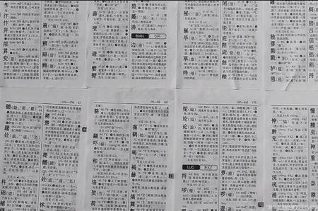 雀在字典里多少页