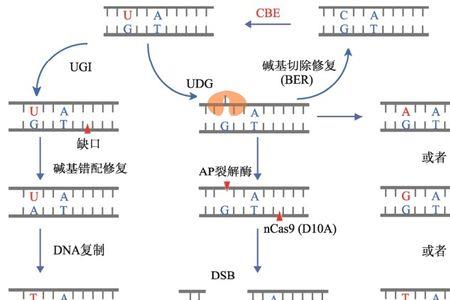 生成和产生的区别