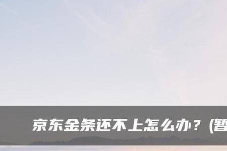 京东金条2万逾期一年罚息多少