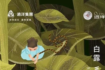 白露炒茶文案