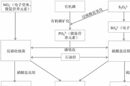 石油烃概述