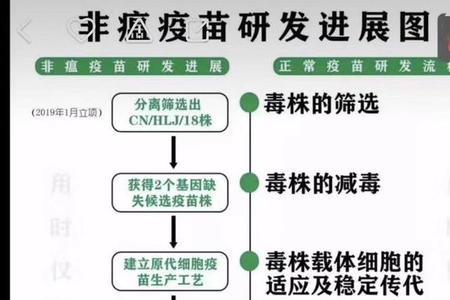 中试到临床应用还需要什么流程