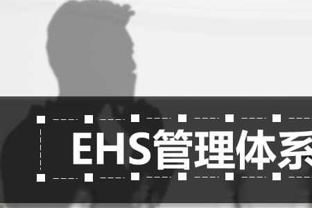 ehs证照是什么意思