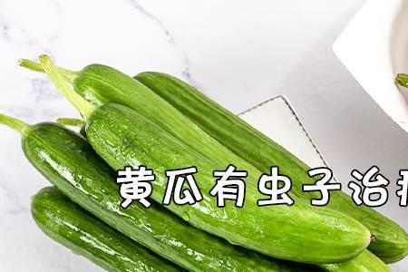 黄瓜放冰箱有白色虫子