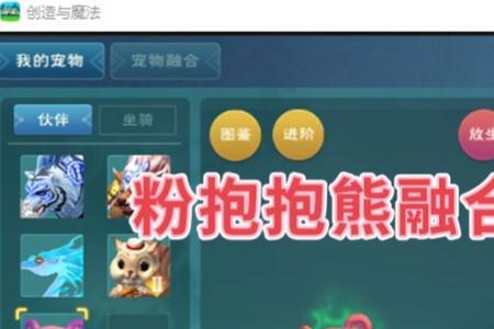 创造与魔法蓝抱抱熊极品资质表