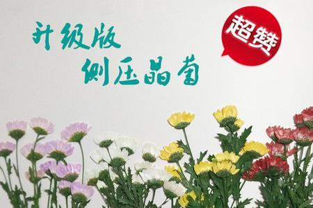 植物如何蜡封