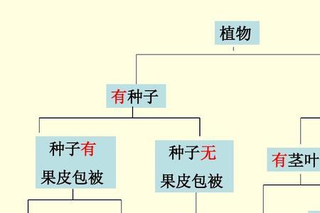 两种特征分类什么意思