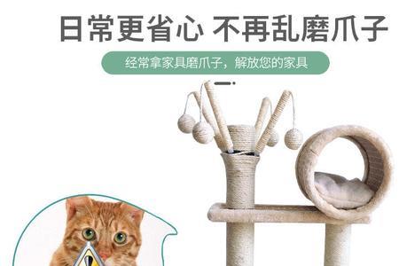 猫爪子伸缩图解