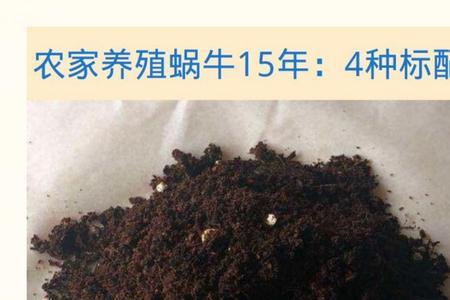 白玉蜗牛饲料需要泡水吗