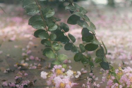 方知花落无奈的诗句