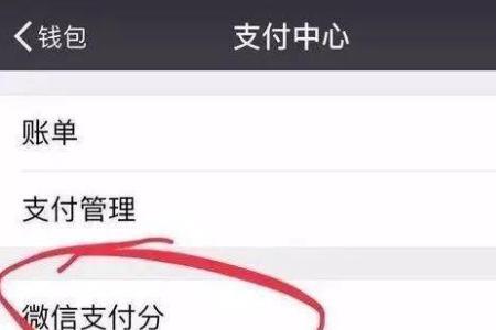 微信支付分欠款怎么回事